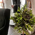 Olea Otel 4*