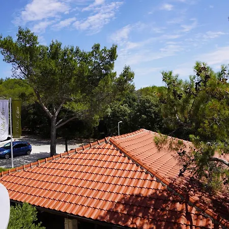 Olea