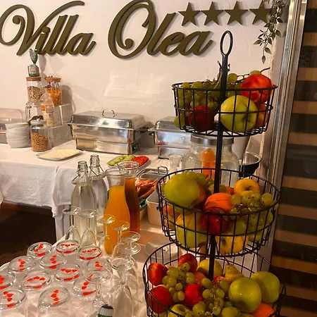 Olea Hotel