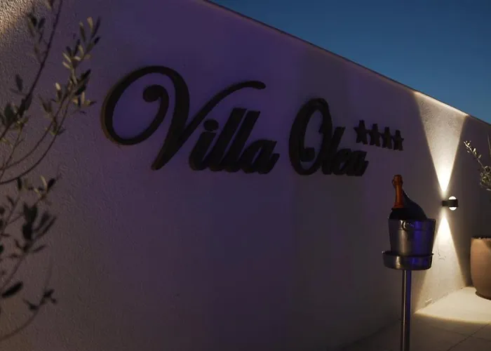 Hotel Olea