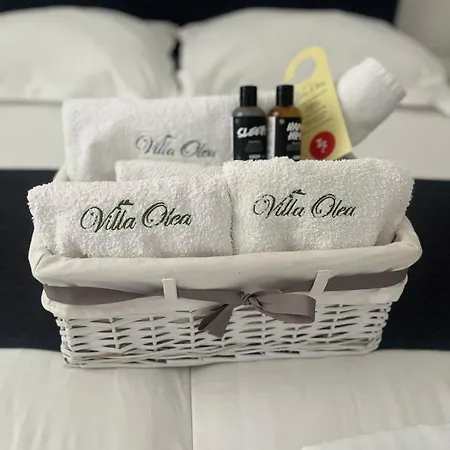 Olea 4* Simuni